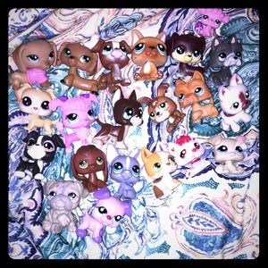 lps offer for @peyton725